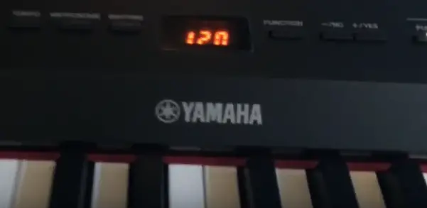 Yamaha P255